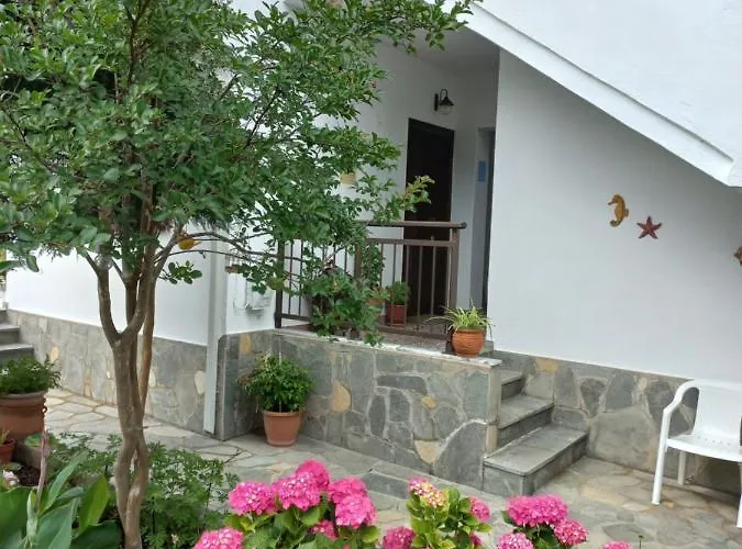 Marina Konukevi