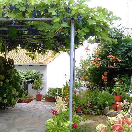 Vendégház Marina 3*