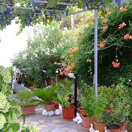 Marina Κοίνυρα